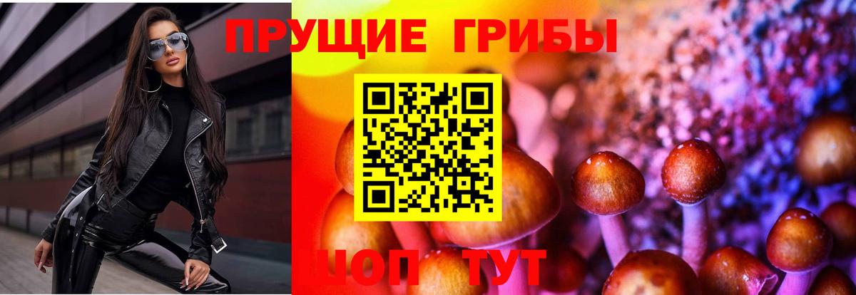 Галлюциногенные грибы мицелий  Вход с VPN  Малоярославец  Галлюциногенные грибы Magic Shrooms 