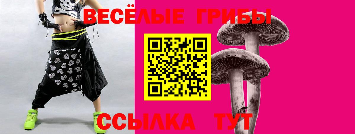 Псилоцибиновые грибы ЛСД Малоярославец